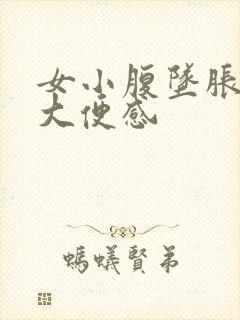 女小腹坠胀伴有大便感