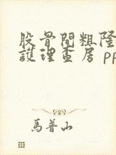 股骨间粗隆骨折护理查房 ppt课件