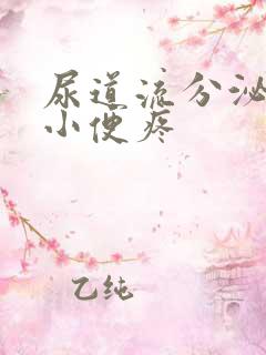 尿道流分泌物 小便疼