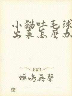 小猫吐毛球吐不出来怎么办