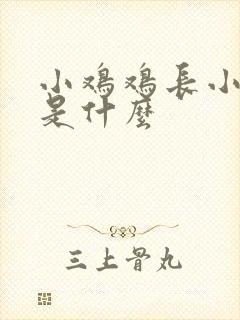 小鸡鸡长小肉粒是什么