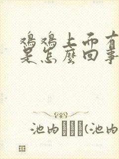 鸡鸡上面有疙瘩是怎么回事