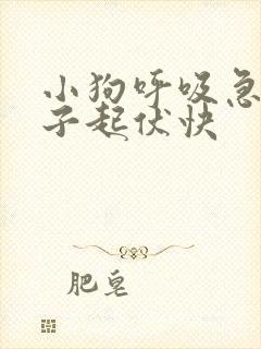 小狗呼吸急促肚子起伏快