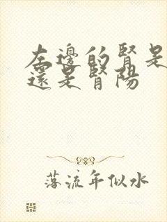 左边的肾是肾阴还是肾阳