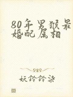 80年男猴最佳婚配属相