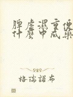 脾虚湿重便秘吃什么中成药