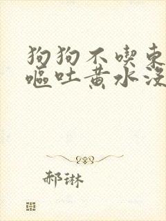 狗狗不吃东西还呕吐黄水没精神怎么办