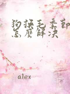 狗换毛季节掉毛怎么解决