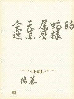 今天属蛇的偏财运怎么样