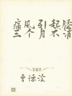 痛风引起膝盖肿三个月不消肿怎么办