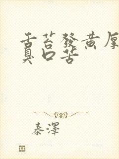 舌苔发黄厚腻口臭口苦