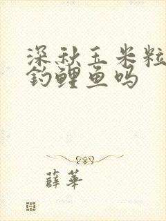 深秋玉米粒还能钓鲤鱼吗