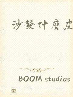 沙发什么皮最好