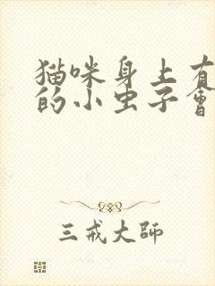 猫咪身上有黑色的小虫子会爬