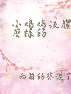 小鸡鸡流脓是什么样的