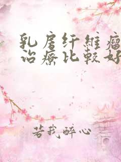 乳房纤维瘤怎么治疗比较好