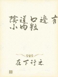 阴道口边有白色小肉粒