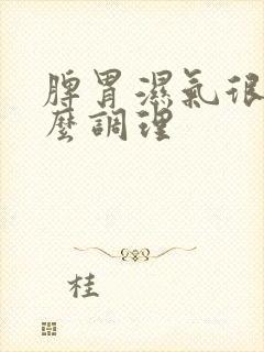 脾胃湿气很重怎么调理