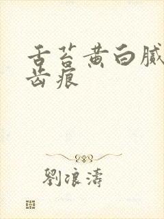 舌苔黄白腻厚有齿痕