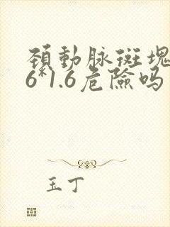 颈动脉斑块5.6*1.6危险吗