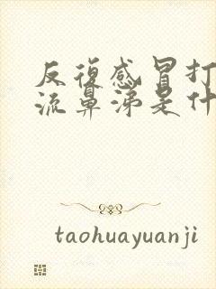 反复感冒打喷嚏流鼻涕是什么原因