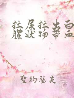 拉屎拉出白色的脓状物带血