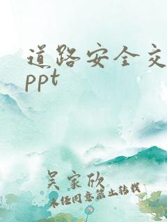 道路安全交通法ppt