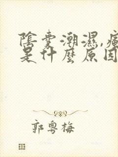 阴囊潮湿,瘙痒是什么原因造成的