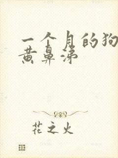 一个月的狗狗流黄鼻涕