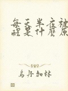 每天半夜被尿憋醒是什么原因