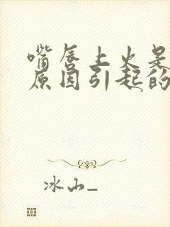 嘴唇上火是什么原因引起的