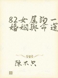 82女属狗一生婚姻与命运