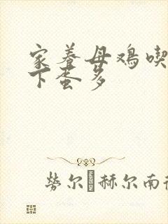 家养母鸡吃什么下蛋多