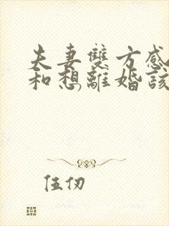 夫妻双方感情不和想离婚该怎么办