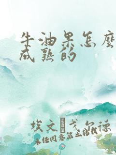 牛油果怎么样是成熟的