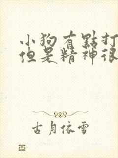 小狗有点打喷嚏但是精神很好