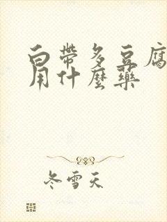 白带多豆腐渣样用什么药