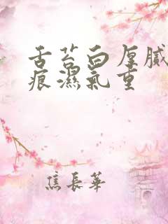 舌苔白厚腻有齿痕湿气重