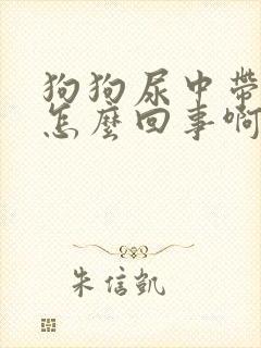 狗狗尿中带血是怎么回事啊