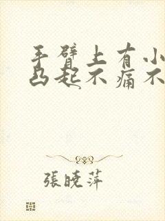 手臂上有小疙瘩凸起不痛不痒