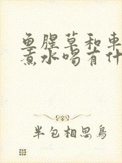 鱼腥草和车前草煮水喝有什么功效