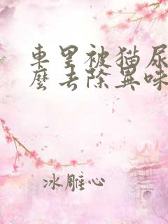 车里被猫尿了怎么去除异味