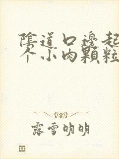 阴道口边起了一个小肉颗粒