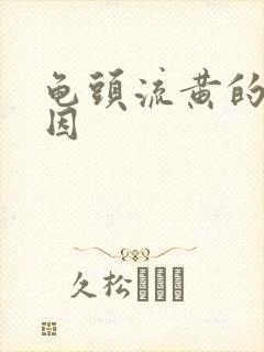 龟头流黄的脓原因