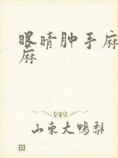 眼睛肿手麻胳膊麻