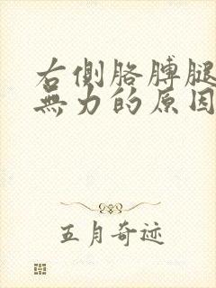 右侧胳膊腿酸软无力的原因