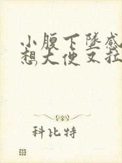 小腹下坠感疼痛想大便又拉不出来