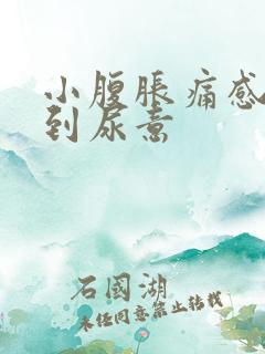 小腹胀痛感觉不到尿意