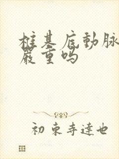 椎基底动脉痉挛严重吗