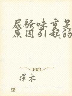 尿骚味重是什么原因引起的